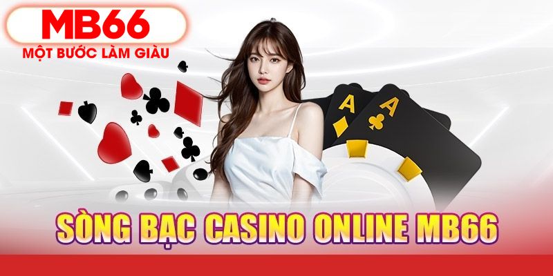mcw19 PT Điện Tử