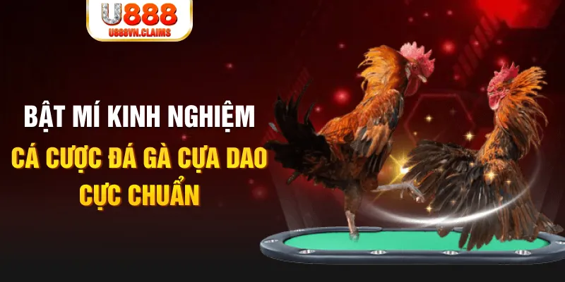 mcw19 casino hồ tràm có cho người việt vào không