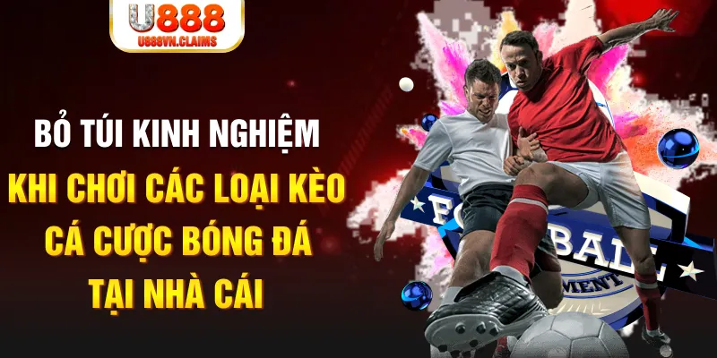 mcw19 trực tiếp xổ số miền nam
