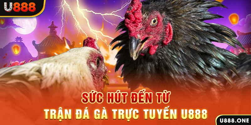 mcw19 đăng nhập poker 2024