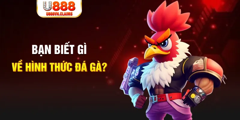 mcw19 đăng nhập liêng tặng tiền
