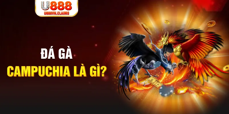 mcw19 what is the best online casino for real money