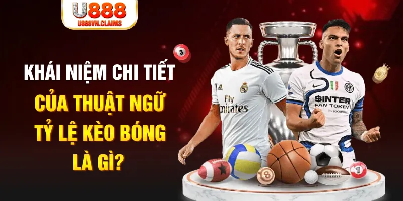 mcw19 Long Hổ 2