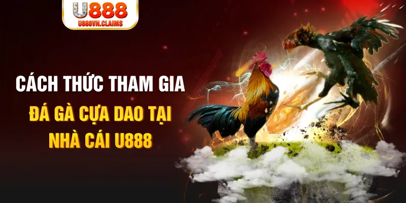 mcw19 đá gà 88.com