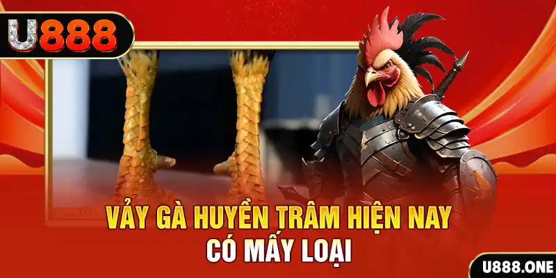 mcw19 đăng nhập nổ hũ miễn phí