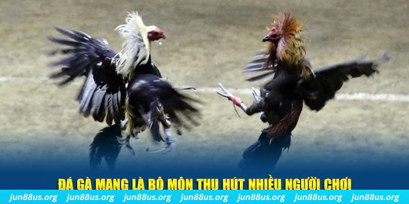 mcw19 đăng nhập sòng bạc số 1