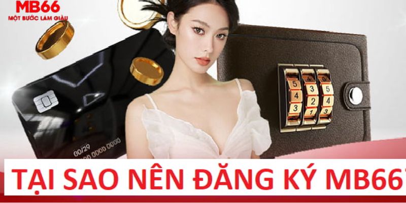 mcw19 nỗ hủ là gì