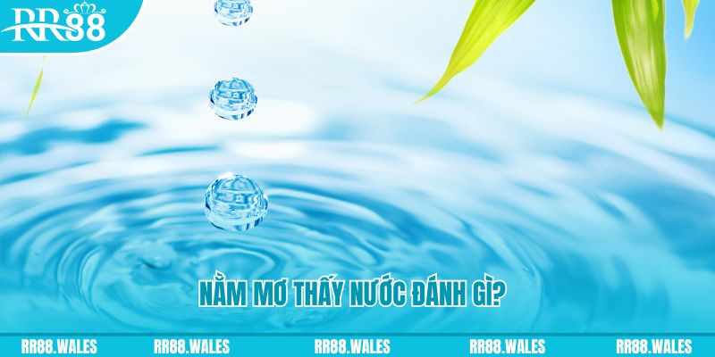 mcw19 xổ số trực tiếp miền bắc