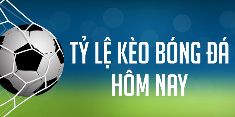 mcw19 đăng nhập phỏm
