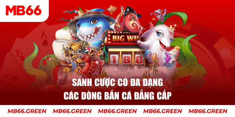 mcw19 xổ số đại phát