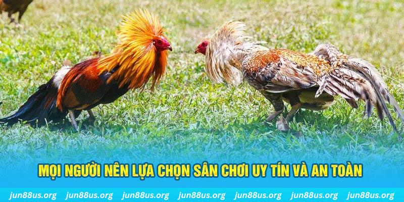 mcw19 đăng nhập poker 2025