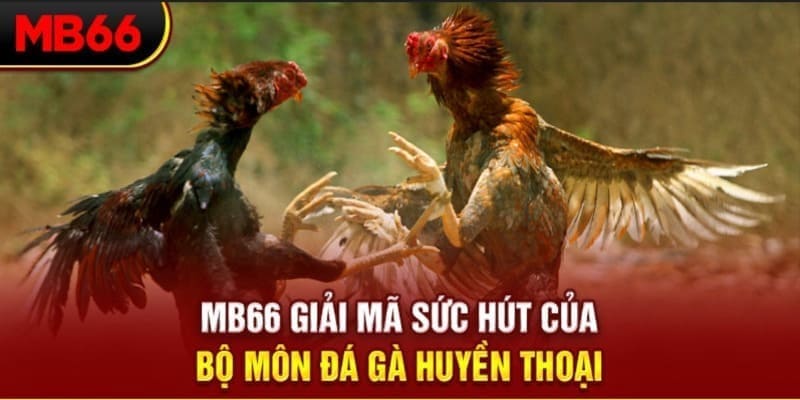 mcw19 xổ số đài bắc