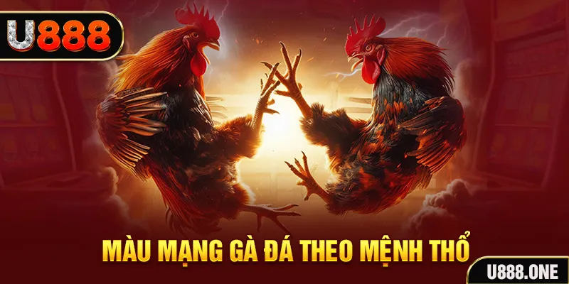 mcw19 đăng nhập liêng hàng đầu
