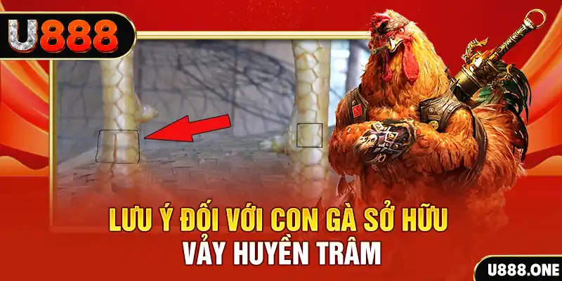 mcw19 tải game đánh bài tiến lên miền nam về máy tính