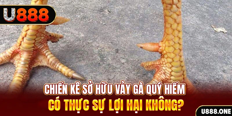 mcw19 xổ số miền trung