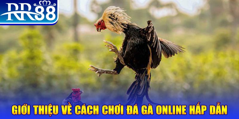 mcw19 EvoPlay Điện Tử