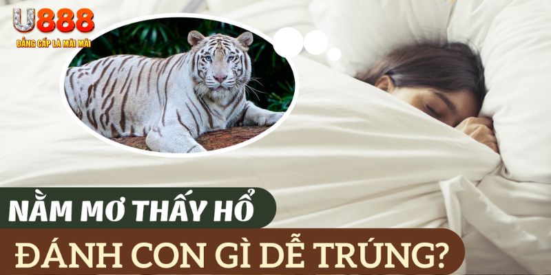 mcw19 nohu .mx nổ hủ là gì