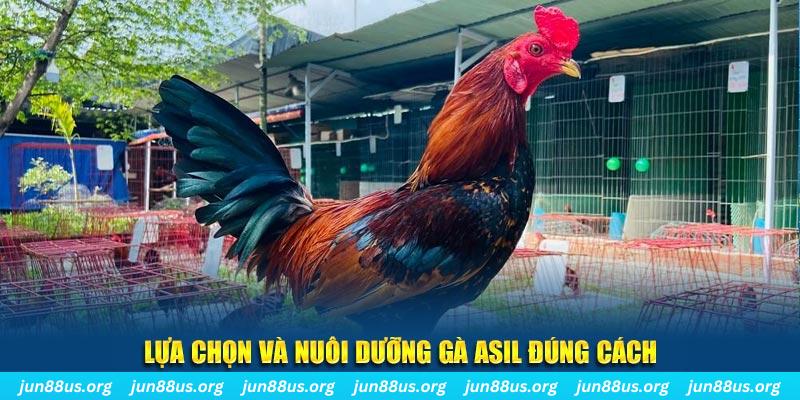 mcw19 nổ hũ thần tài là gì