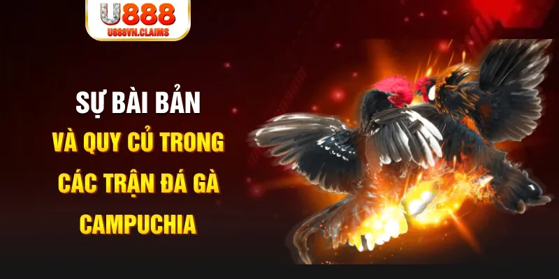 mcw19 game xếp bài trên máy tính