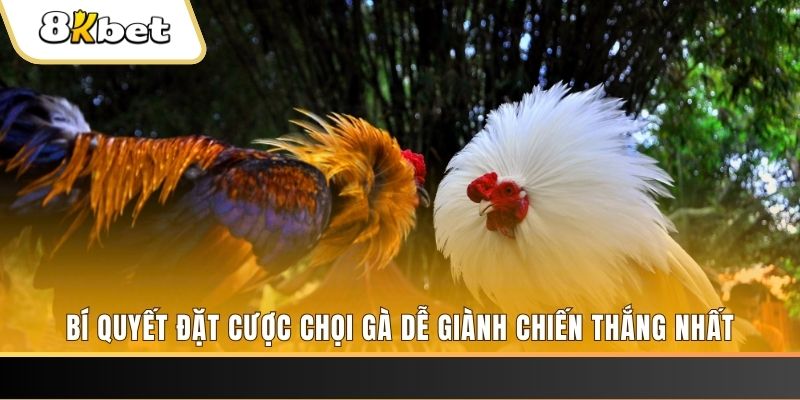 mcw19 nổ hũ chơi như thế nào