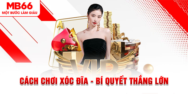 mcw19 Đĩa màu ace