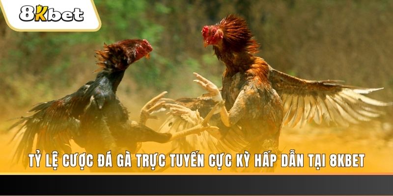 mcw19 xổ số miền bắc chủ nhật