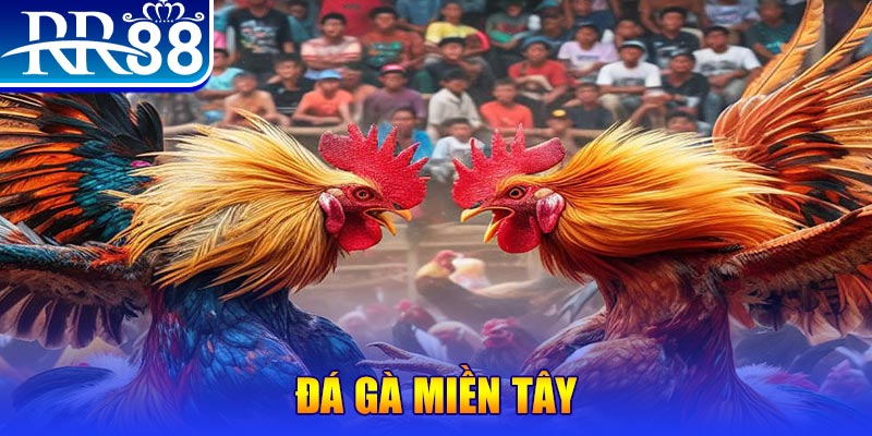 mcw19 đăng nhập liêng đổi thưởng