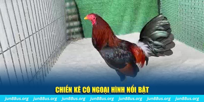 mcw19 qq88 bắn cá