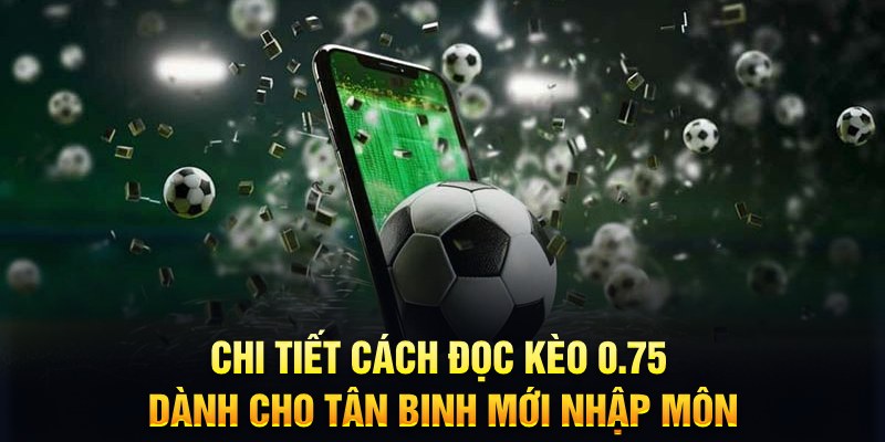 mcw19 Xì tố