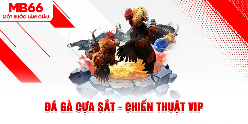 mcw19 slot out là gì