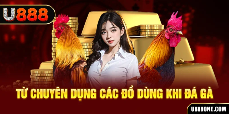 mcw19 xổ số hồ chí minh