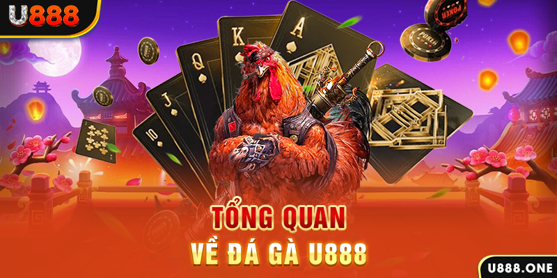 mcw19 xổ số vietlott