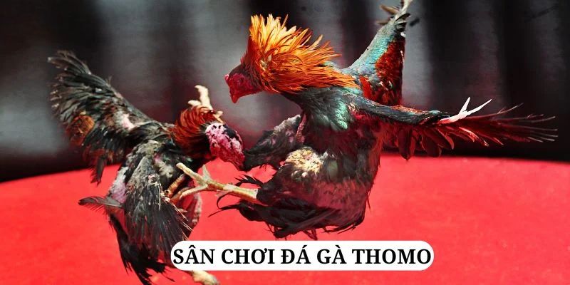 mcw19 quay nổ hũ là gì