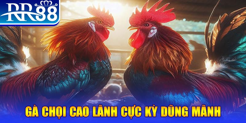 mcw19 đăng nhập poker live